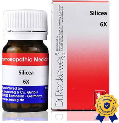 Dr. Reckeweg Silicea 6X Tablets