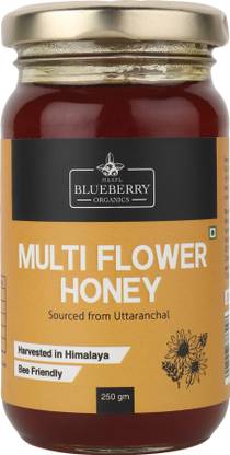 MLSPL BLUEBERRY ORGANICS Multi Flower Honey Sourced From Uttaranchal