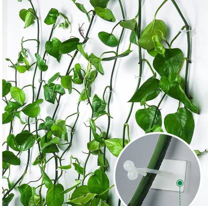 FLUZOV Plant Hook_P52 Hook 30