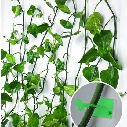 FLUZOV Plant Hook_P16 Hook 30