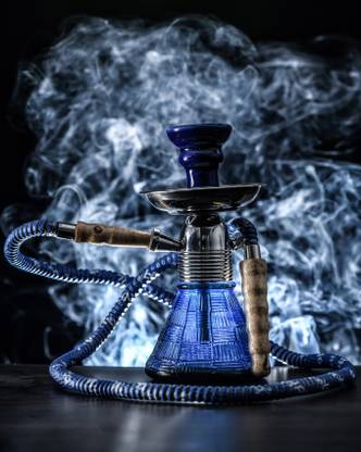 Fashion Bizz 8 inch Glass Hookah 8 inch Glass Hookah