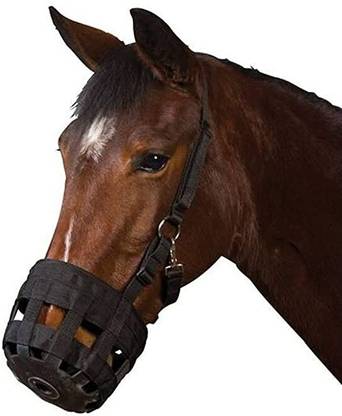 BLESSING PET PRODUCT Bitless Horse Bridle