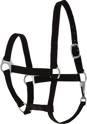 yogi art Halter Horse Bridle