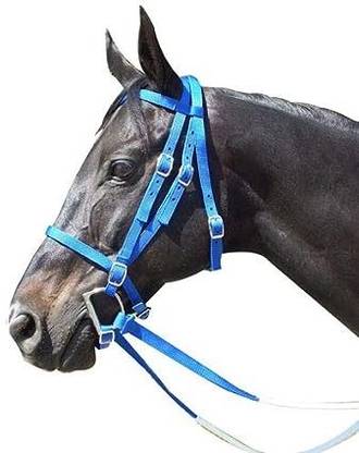 BLESSING PET PRODUCT Harness Horse Bridle
