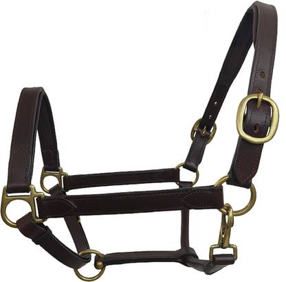 KTE Halter Horse Bridle