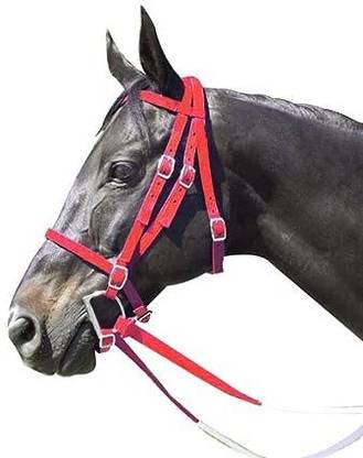 BLESSING PET PRODUCT Harness Horse Bridle