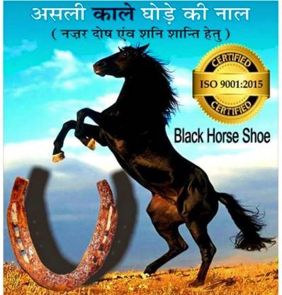 BRAJBazar Horse Shoe Ring
