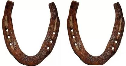 BRAJBazar Horse Shoe Ring