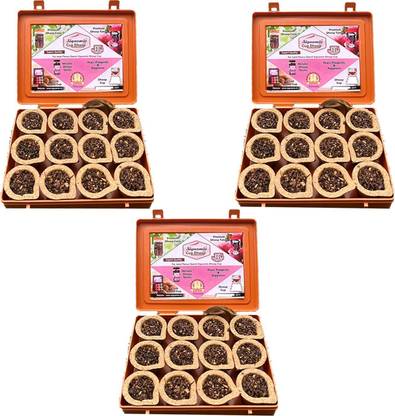 Signamio Dashang Cup with Burner Plate for pooja Home,Dhoop Items,Dhoop sambrani- Pack 3 MULTI FRAGRANCE
