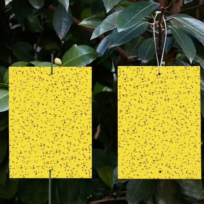 VANAMALI PREMIUM QUALITY YELLOW STICKY TRAPS A4 SIZE KILLS 99% INSECTS, PESTS Pack of 50 Insect Net