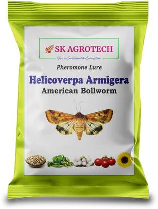 S K Agrotech Pheromone Lure Helicoverpa Armigera American Bollworm Leaf Eating caterpiller