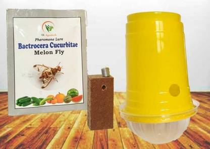 S K Agrotech Bactrocera Cucurbitae - melon fruit fly pheromone trap & lure