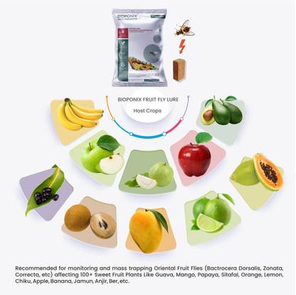 BIOPONIX Fruit Fly Trap Lure (Bactrocera Dorsalis Fruit Fly) Pack of 15 Lures