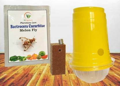 S K Agrotech Bactrocera Cucurbitae - melon fruit fly pheromone trap & lure