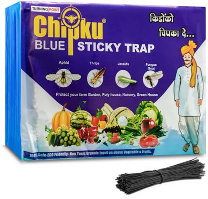 Chipku A5 Blue Sticky Trap for Thrips, Aphids PACK OF 25