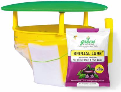 Green Revolution Brinjal Pheromone Trap | brinjal Fruit & Shoot Borer Pheromone Trap pack of 20.