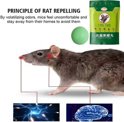 LootZoo Eco-Friendly Rat Repellent | Strong Odor Formula