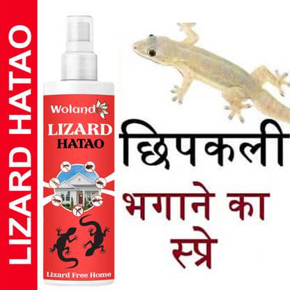UPASTHIT Lizard Hatao All killer easy to use