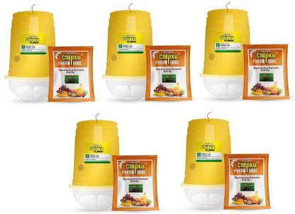 Chipku Glass Trap with fruit Fly Lure Pack Of 5 / Pheromone Trap
