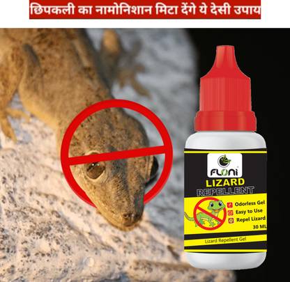 floni Lizard Hatao ultimate Lizard killer