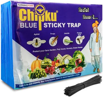 Chipku Blue sticky trap pack of 1 - 10 traps