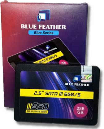 Blue Feather Blue 256 GB Surveillance Systems Black SATA Internal Solid State Drive (SSD) (256GBSSD)