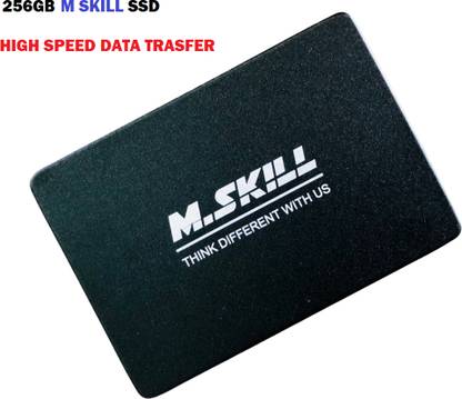 BRYT NA 256 GB All in One PC's, Desktop, Laptop Internal Solid State Drive (SSD) (256 GB SSD)