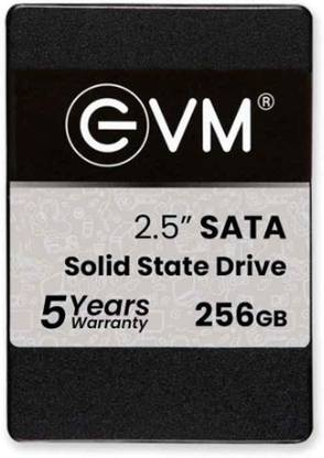 EVM SSD 256 GB All in One PC's Internal Solid State Drive (SSD) (SSD 256GB 2.5 SATA)