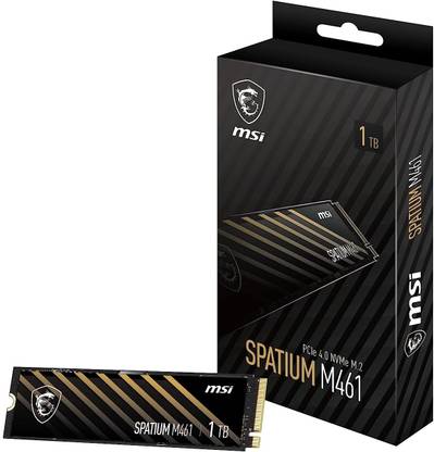 MSI SPATIUM M461 1 TB Laptop, Desktop, All in One PC's Black PCIe NVMe Internal Solid State Drive (SSD) (S78-440L1D0-P83)