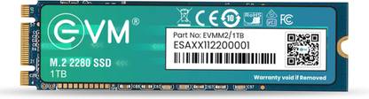 EVM M.2 (2280) SATA 1 TB All in One PC's, Desktop, Laptop Black SATA III Internal Solid State Drive (SSD) (EVMM2/1TB)