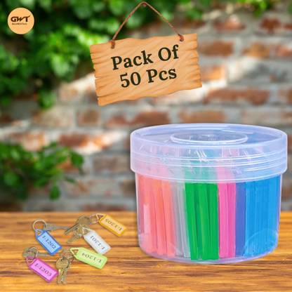 TEMPT 50 ASSORTED TAG KEYCHAIN Key Chain