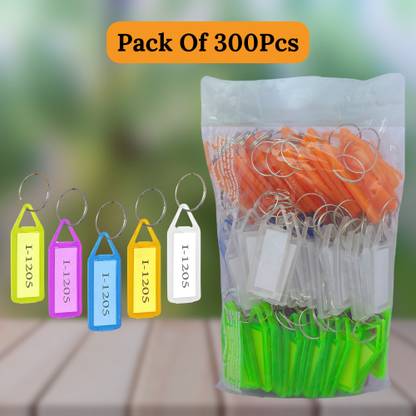 VeleSolv 300 Pcs Multicolor ID Name Keyrings & Keychains Key Tags with Label (Pack of 6) Key Chain