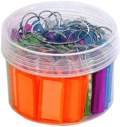 everlite 50 TAG / LABEL KEY CHAIN (GOOD QUALITY) MIX COLOR Key Chain