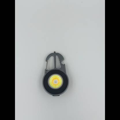 TAXON 01110 Key Chain