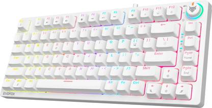 EVOFOX Katana X2 TKL Mechanical Wired USB Tenkeyless Gaming Keyboard Compatible with Desktop, Laptop, Mac