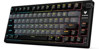 EVOFOX Ronin TKL RGB Mechanical Wireless Tenkeyless Gaming Keyboard Compatible with Desktop, Laptop, Mac