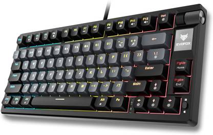 EVOFOX Ronin TKL RGB Mechanical Wired USB Tenkeyless Gaming Keyboard Compatible with Desktop, Laptop, Mac