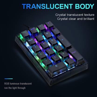 Lyla 21 Keys Wired Mechanical Numeric Keypad USB Numpad for Cashier PC Black Wired USB Standard Multi-device Keyboard Compatible with Desktop, Laptop, Mac