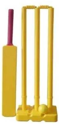 Raipl 99 wicket Cricket bat set Cricket Kit