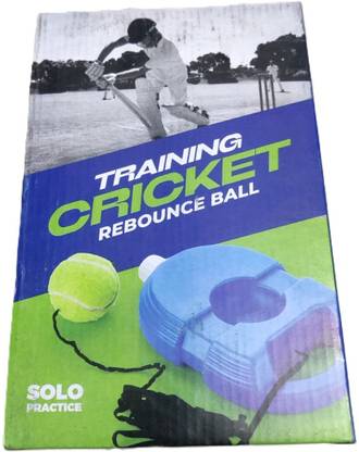 Shivalik Enterprises Tennis Trainer Rebound Ball with String Tennis Kit