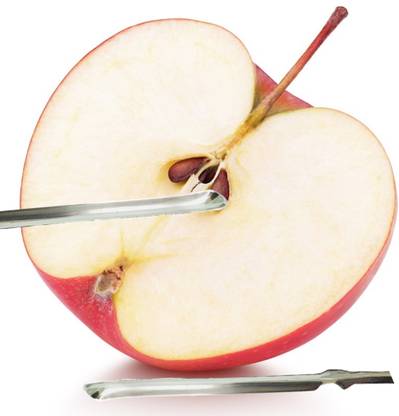 90 Degree Stainless Steel Bone Marrow Scoop Spoon Seed Remover Spoon Stick Kitchen Tool Set