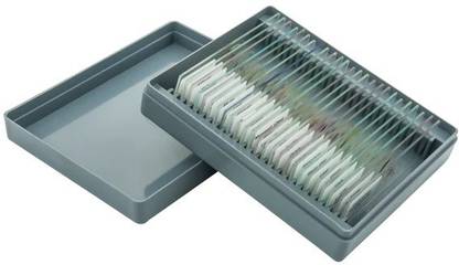 COMETEK Microscope Slide Set - Basic - Set of 25 Microscope Slide Box