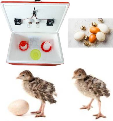 HUMBE&CO 100 Eggs Semi Automatic ,Egg Incubator Egg Incubator EBS materials, Egg Incubator
