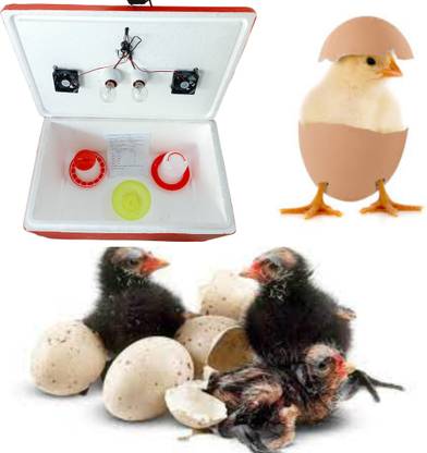 HUMBE&CO Double Holder 100 Egg Semi Automatic, Incubator With Drinker&Feeder free, Egg Incubator
