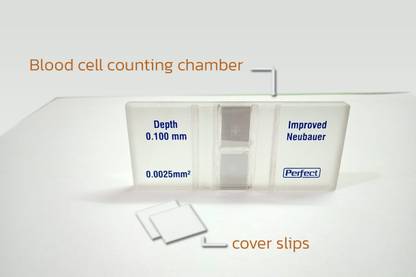 Brightline Counting chamber Perfect Laboratory Watch Glass