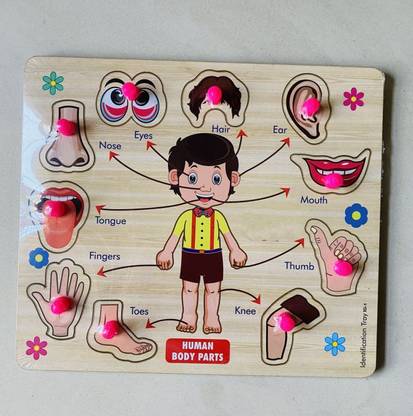 Plus Shine Educational Learning Game Wooden Human Parts of The Body Puzzle with Knobs