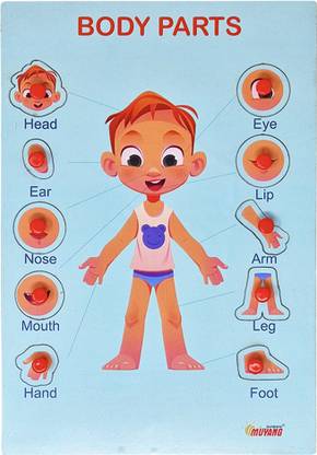 Parteet Premium Quality Bodyparts Wooden Educational Pegged Puzzle For 2-5 Year Kids