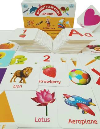 Sandrone All in One Flash Cards for Kids(Non-Tearable flashcards-Water Proof)
