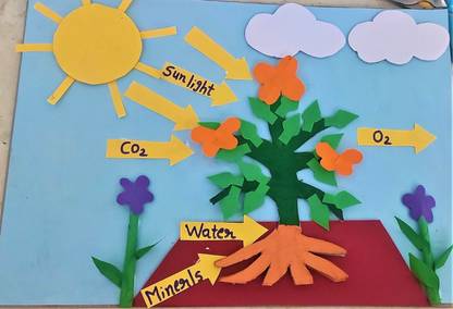 the craft gurus How Plant can Make Their Food - Photosynthesis Model for school project