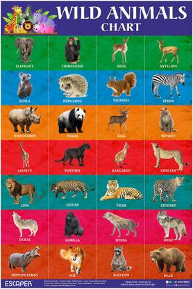 Wild Animals Chart for Kids learning, Cut and paste picture of animals Photographic Paper